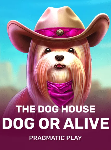 Dog House Dog or Alive